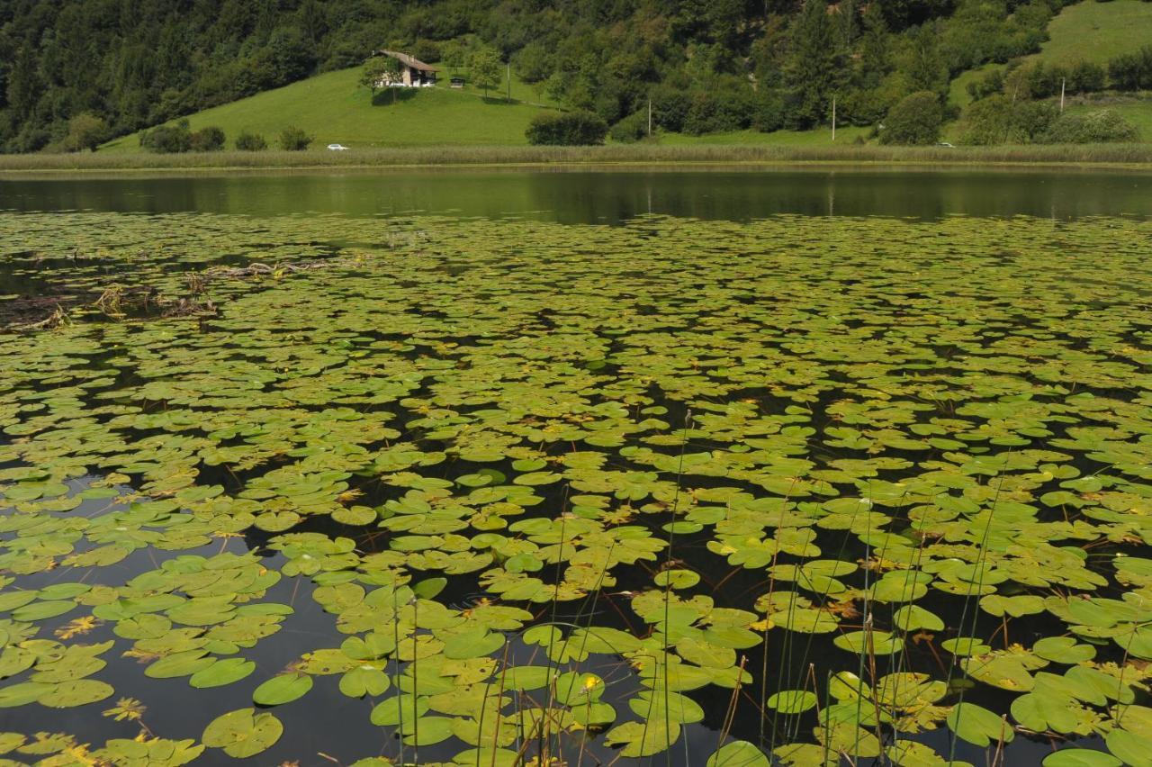 Hotel Garni My Ledro Pieve Di Ledro